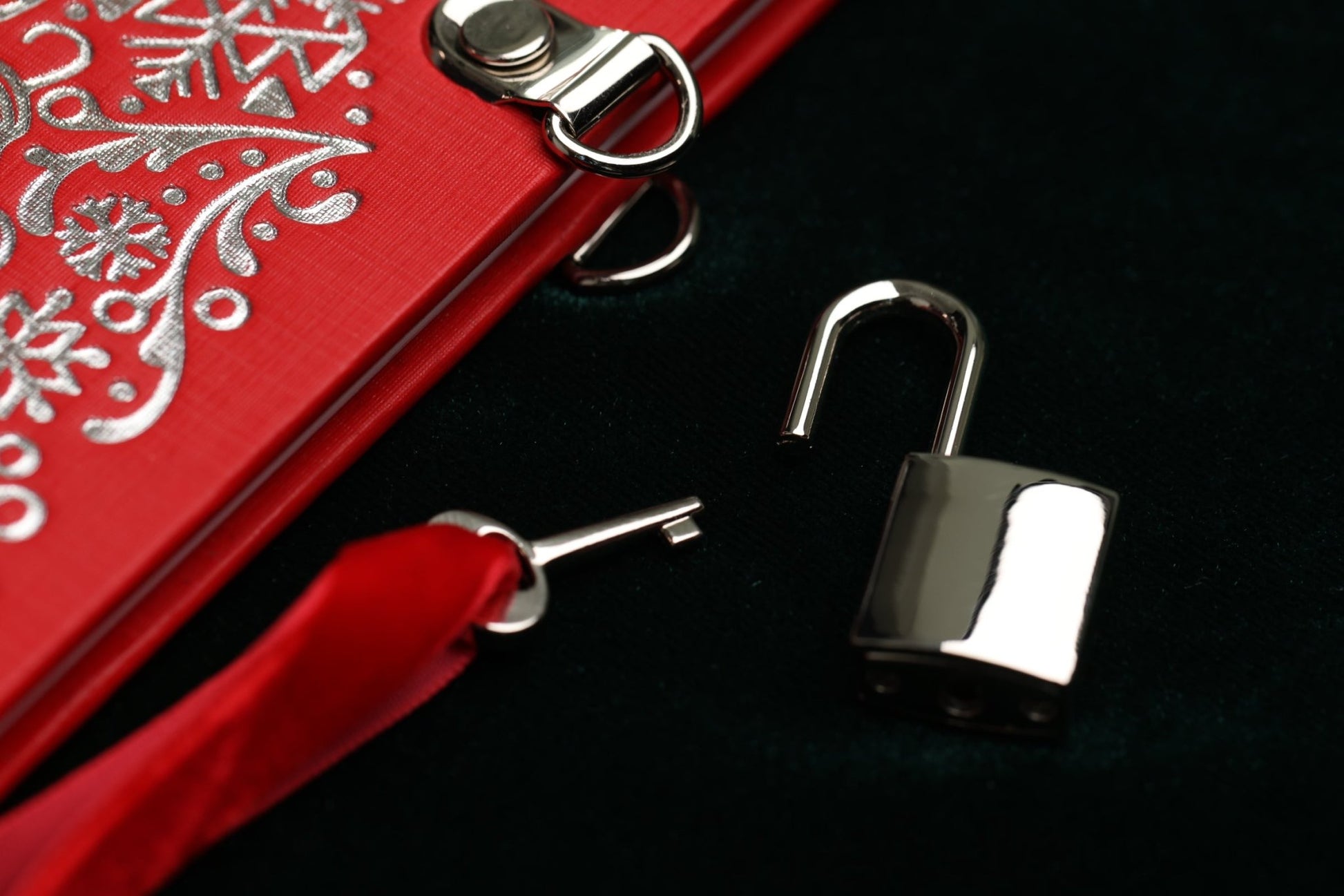 The Santa Book: A True Story